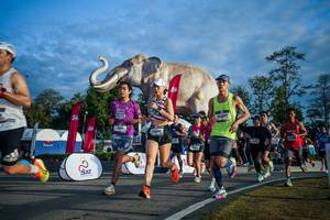 BIB: 
                            <button type="button" onclick="openModal(26541513)" class="btn btn-primary btn-sm float-right btn-popup" data-toggle="modal" data-target=".modal-high-quality">
                        <i class="fas fa-shopping-cart"></i> Add to Cart
                    </button>
                                            <button type="button" onclick="isThisMe(26541513, true)" class="btn btn-success btn-sm float-right btn-popup btn-isme hidden" data-toggle="tooltip" data-placement="bottom" title="นี่คือรูปของคุณใช่ไหม คลิกที่นี่เพื่อเอาเข้าอัลบั้ม">
                        <i class="fas fa-plus"></i> Add to album
                    </button>
                    <button type="button" onclick="isThisMe(26541513, false)" class="btn btn-warning btn-sm float-right btn-popup btn-isnotme hidden">
                        <i class="fas fa-ban"></i> Remove from album
                    </button>